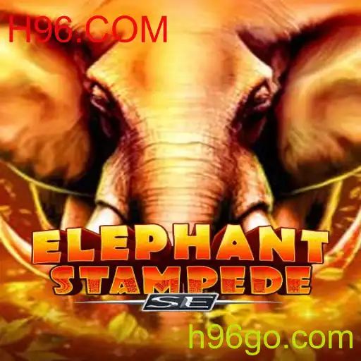 Descubra as Aventuras de ElephantStampedeSE